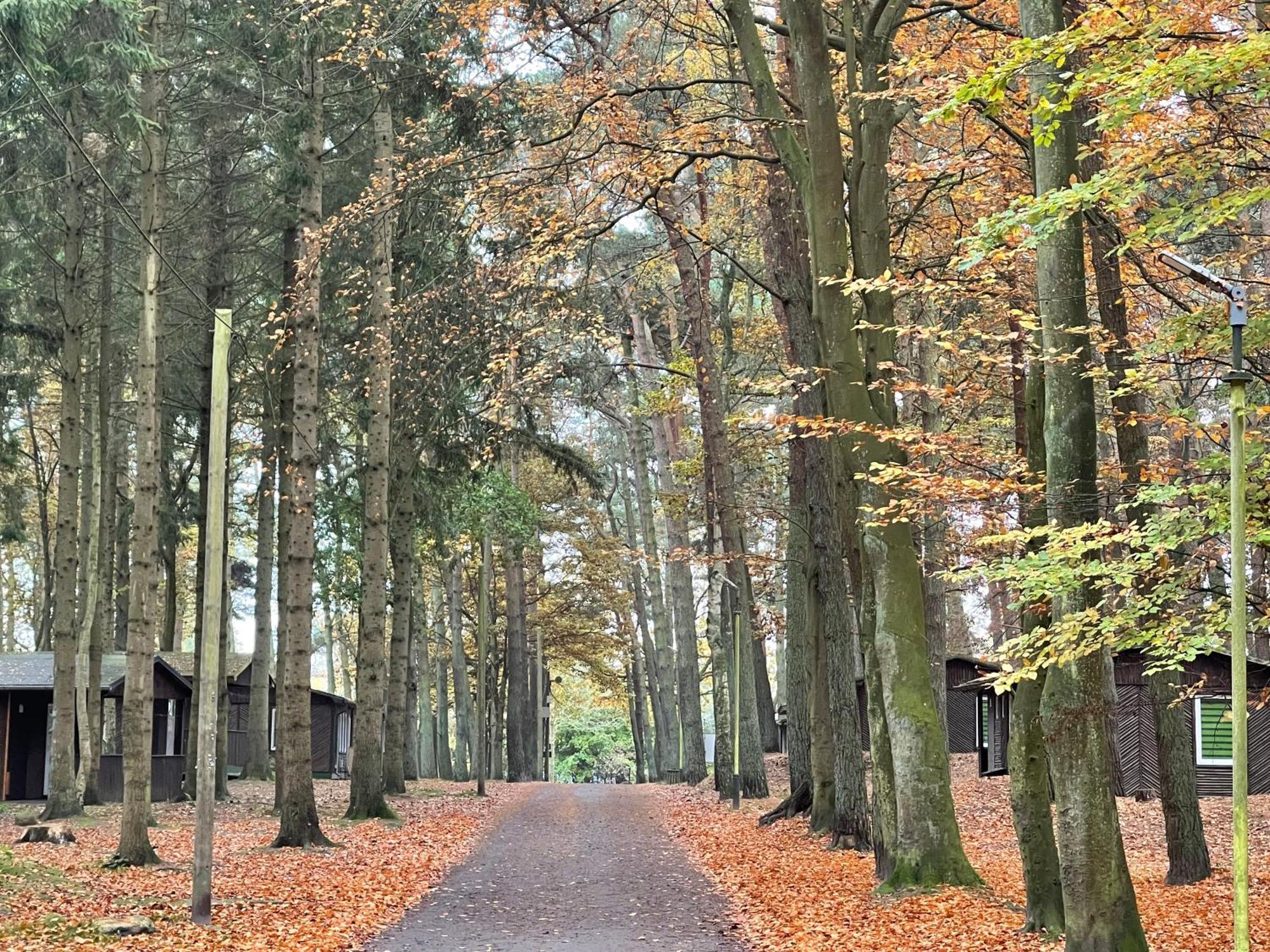 Feriendorf Fynnus Dranske Luaran gambar