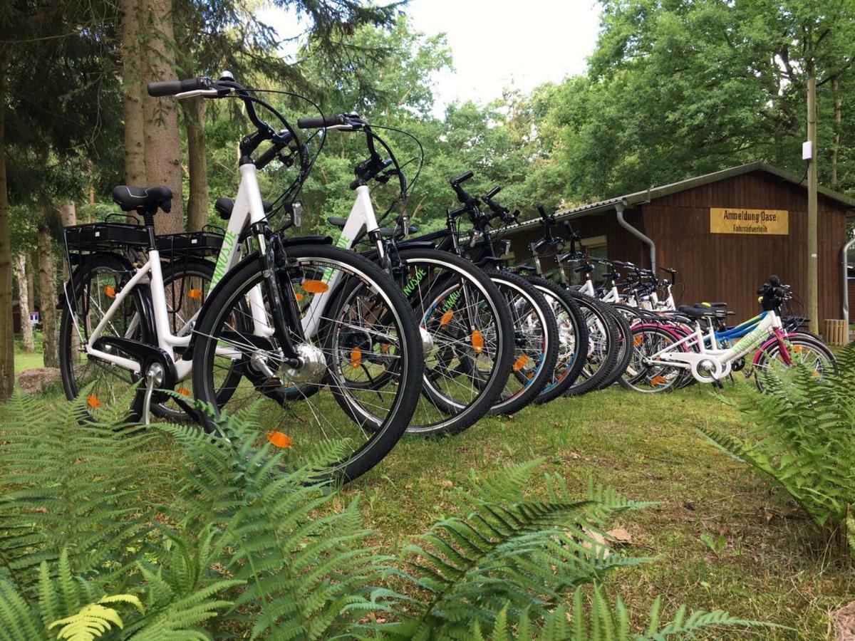 Feriendorf Fynnus Dranske Luaran gambar